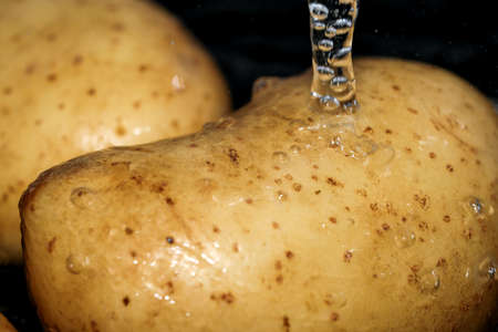 Young raw potatoes in their skins are washed in clean water before cooking close-up macro photographyの写真素材