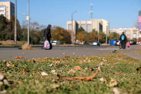 Autumn sketch background with yellowing and falling leaves in the park in front of residential buildingsの写真素材