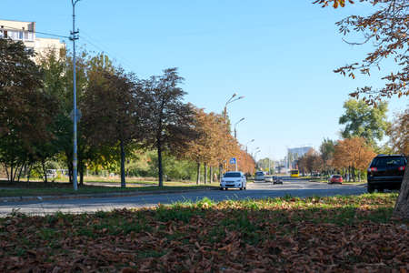 Autumn sketch background with yellowing and falling leaves in the park in front of residential buildingsの写真素材
