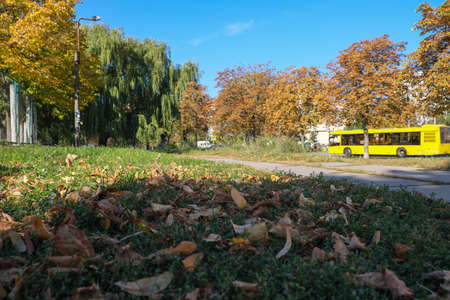 Autumn sketch background with yellowing and falling leaves in the park in front of residential buildingsの写真素材