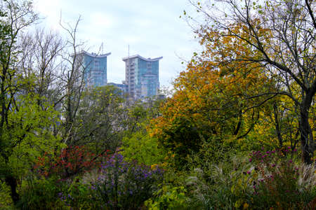 View of the residential area of the city of Kiev near the botanical garden on an autumn cloudy dayの写真素材
