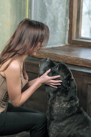Young slender cute girl with a dog of the Italian breed Cane Corso portrait in the studio