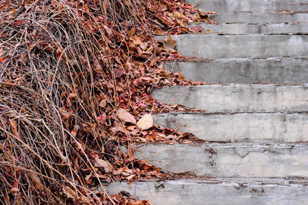 Landscaping staircase steps in late autumn in the garden top view