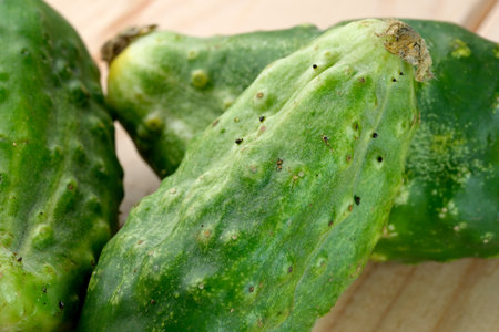 Custom homemade unwashed cucumbers on a light wooden background, close-up, vegetable compositionの写真素材