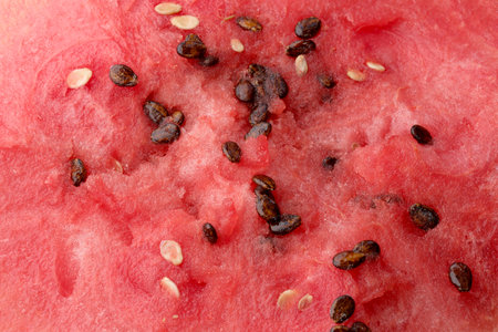 Red ripe watermelon with white and dark seeds full screen, fruit backgroundの写真素材