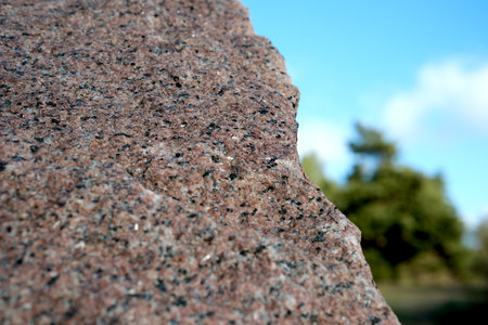 Sunlit granite rock with vibrant textures in a natural scene.の写真素材