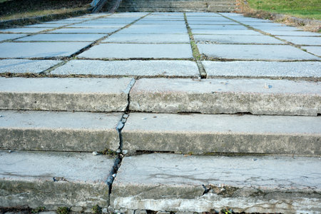 Cracked, uneven stone steps guide visitors towards a serene green space.の写真素材