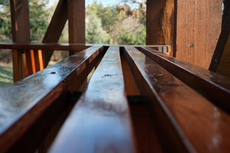Sunlight shines on polished wood, reflecting nature's calm beauty.の写真素材