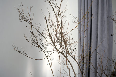 Dried branches rise against a minimalist backdrop, exuding elegance.