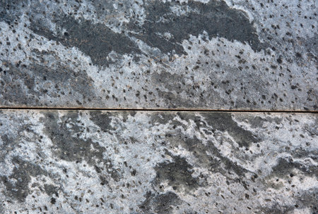 Fascinating concrete surface displays intricate patterns and textures
