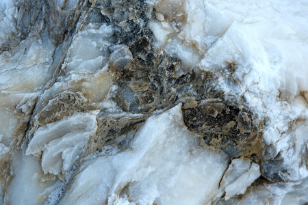 Intricate textures and shades define this natural stone's allure.