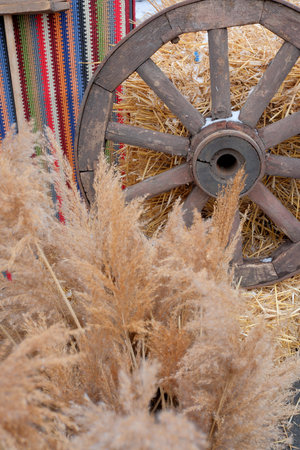 A vintage wooden wheel and pampas grass create a serene outdoor vibe.の写真素材