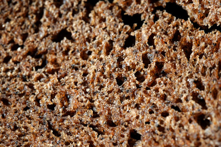 Close-up of a rustic bread slice showing its unique, porous texture.