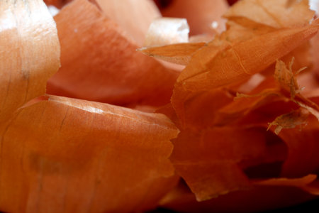 The intricate textures of onion peels reveal their natural beauty up close.の写真素材