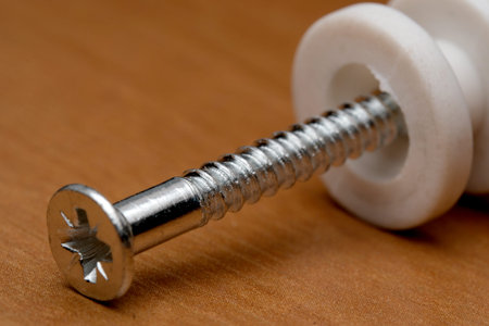 Close-up view of a metallic screw with a white spacer on wood, showing texture.