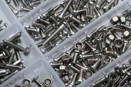 Various metallic screws, nuts, and bolts neatly arranged for easy access.