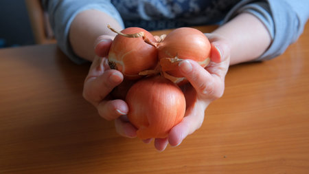 Warm hands hold three vibrant onions, creating a rustic kitchen moment.