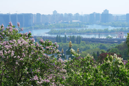 Lavender blooms frame a panoramic view of a bustling city by the river.