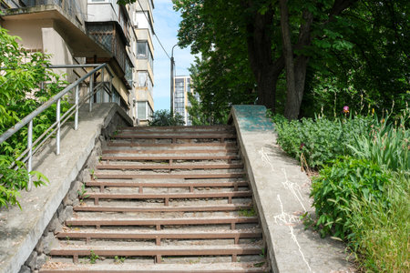 Sturdy wooden steps emerge from lush greenery, inviting a peaceful stroll upwards.の写真素材