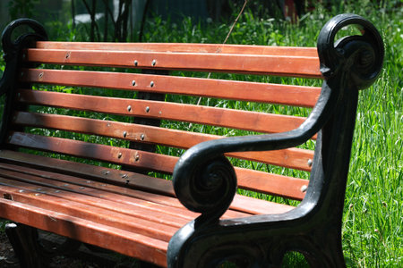 A well-crafted wooden bench nestled in vibrant greenery encourages tranquil moments.