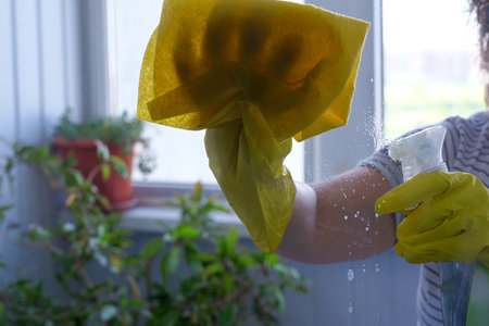 Bright light floods in as hands diligently clean a window with a cloth and spray.の写真素材
