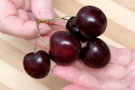 Hands hold gently a cluster of ripe, dark cherries in a cozy kitchen.