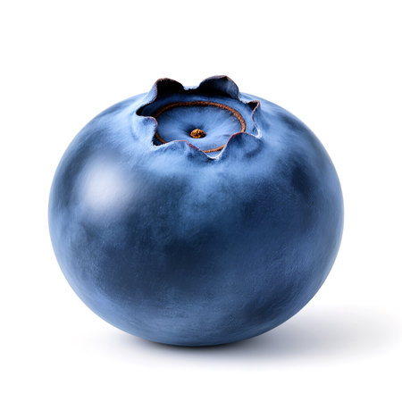 A single ripe blueberry showcases its deep blue hue and natural sheen perfectly.の素材