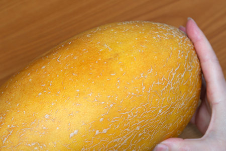 A hand gently holds a large, ripe, textured golden melon waiting to be sliced.