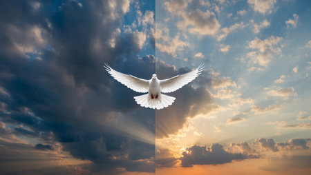 A dove soars gracefully amidst contrasting skies at sunset, symbolizing hope.の素材
