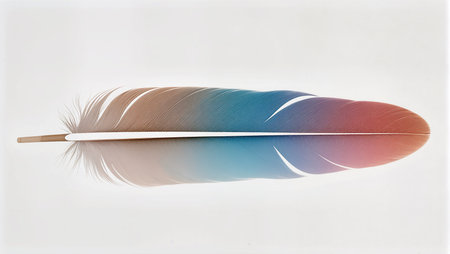 A colorful feather displays a blue and coral gradient, creating a striking look.の素材