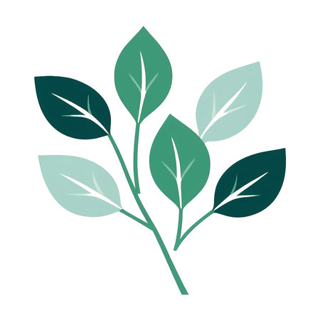 Softly shaded green leaves branch brings tranquility and freshness to any space.の素材