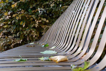 Leaves scatter on a sleek bench in a peaceful park during autumn.
