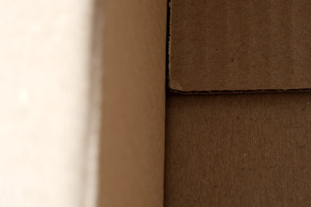 A close-up view reveals the unique textures and layers inside a cardboard box.の写真素材