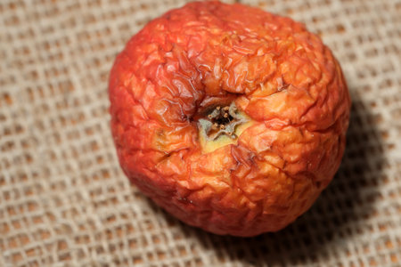 Vibrant dried apple sits gracefully on natural burlap, showing its colors.