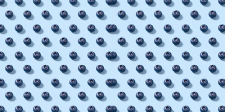 Fresh blueberries perfectly lined up on a cool blue surface, showing nature's beauty.の素材