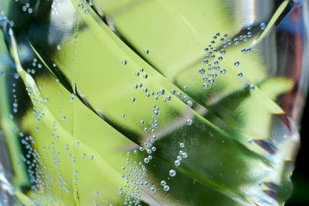 Tiny bubbles rise and shimmer in a cool glass against a green backdrop.