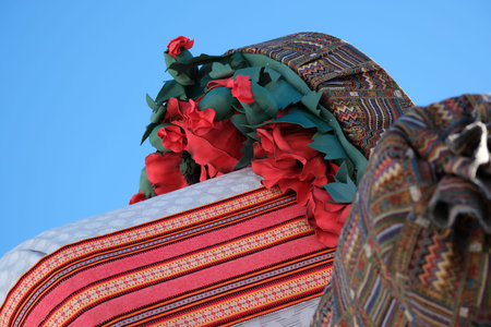 Vibrant textiles with intricate patterns and festive flowers shine under clear skies.