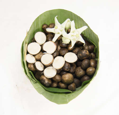 Thai puff ball mushrooms in count of banana leaf.の写真素材