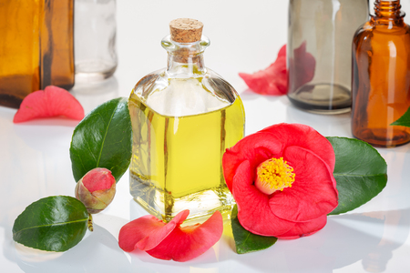 Camellia oil bottle for beauty, skin care, wellness and medicinal purposesの写真素材