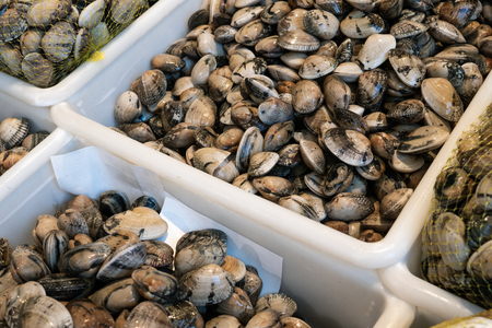 Fresh clams on crates for sale in the market of Santiago de Compostela, Spain. Venerupis pullastraの写真素材