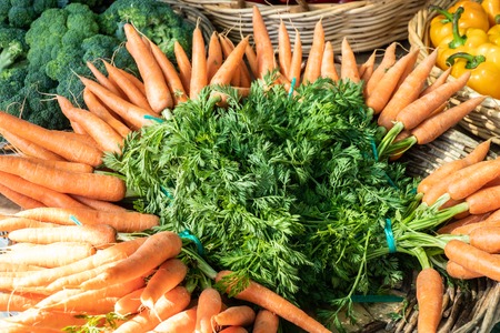 Fresh organic carrots for sale on farmers market. Daucus carotaの写真素材