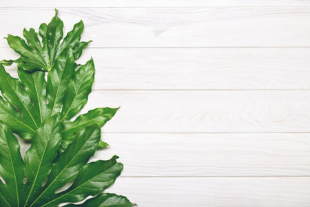 Top view of green leaves on white wooden background. Flat lay . Copy space for text.の写真素材