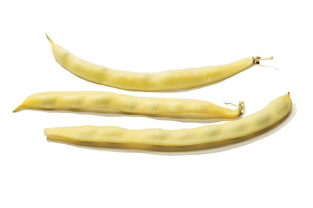 Fresh yellow flat bean isolated on white background. Romano beans