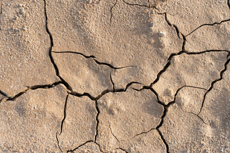 Dry cracked ground background texture. Dried soil
