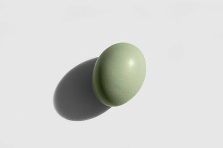 Araucana egg isolated on white background. Blue or green eggs from Araucana chickenの写真素材