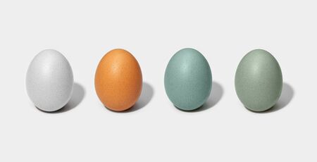 Group of Chicken eggs isolated on white background. White, brown, green and blue eggの写真素材
