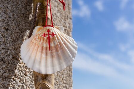 Walking stick and seashell of the Camino de Santiago leaning on granite stone wall. Santiago de Compostela pilgrimage concept. Copy spaceの写真素材
