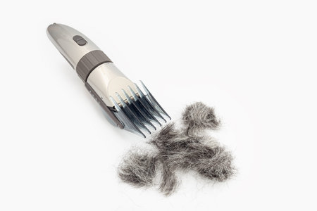 Hair clipper and cut hair isolated on white background. Hair cutting tool