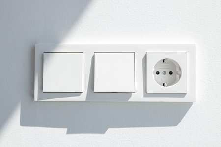 Modern White switch board with two switch and one european plug. European electrical outlet