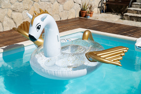 Scene of a Cute inflatable dragon floating on house swimming pool on sunny day. No people